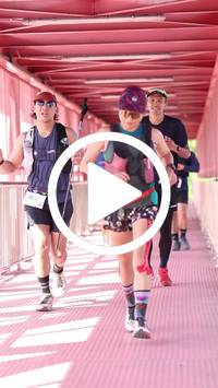 BIB:  <button type="button" onclick="openModal(27533707)" class="btn btn-primary btn-sm float-right" data-toggle="modal" data-target=".modal-high-quality">
                <i class="fa fa-download"></i> Download
                </button>